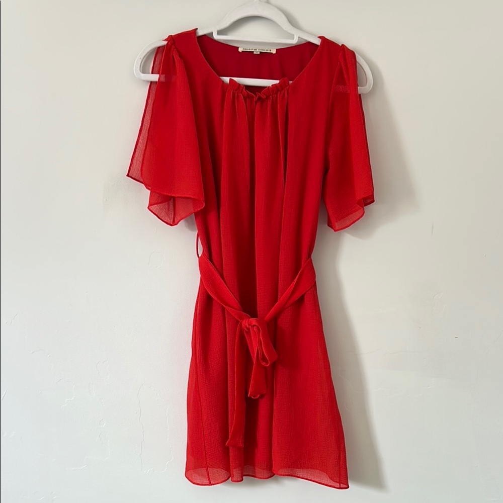 Collective Concepts Dress